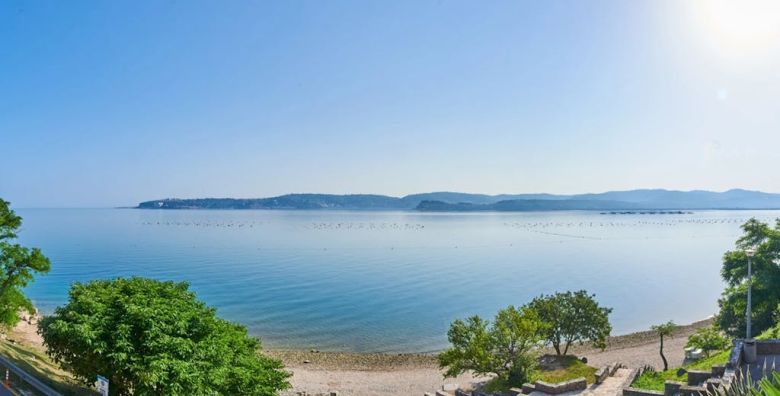 Apartmani Kanegra Plava Laguna  First minute ljeto u Istri Umag Istra Hrvatska  595 EUR  5x nocenje u Classic apartmanu 2 2 s balkonom strana park za 4 osobe Animacija: mini club za djecu od 4 do 12 godina tematske zabave mini disco