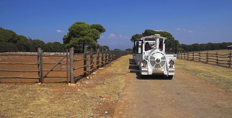 Garantirani polasci - Akcija, popust i sniženje. (ponuda: 257481)