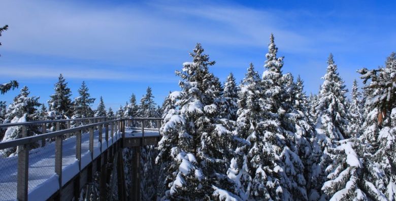 Hotel Tisa Pohorje  Last minute odmor u prirodi Hocko Pohorje Slovenija  119 EUR  1x nocenje u dvokrevetnoj sobi za 2 osobe Polupansion