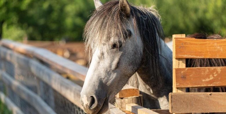 Malak Farma  Dream House  Opustajuci odmor Kakanj Bosna i Hercegovina  153 €