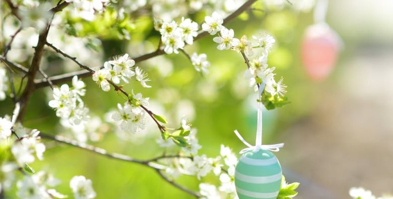 Grand Hotel Donat Superior  Uskrsni odmor u Rogaskoj Slatini Rogaska Slatina Slovenija  352 EUR  2x nocenje u dvokrevetnoj sobi s balkonom i pogledom na sumu za 2 osobe Polupansion dorucak i vecera mogucnost pripreme dijetalne hrane 