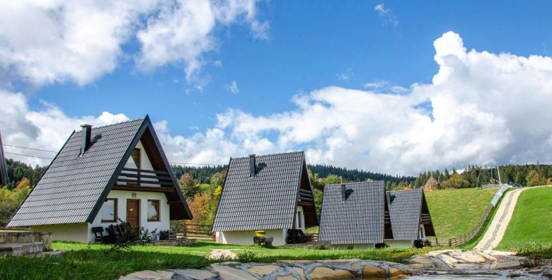 Pizza - Akcija, popust i sniženje. (ponuda: 258875)