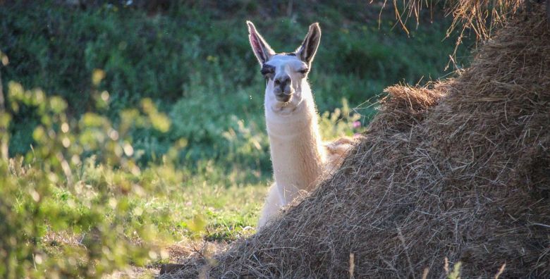 Putovanja - Akcija, popust i sniženje. (ponuda: 258937)