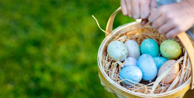 Oprema - Akcija, popust i sniženje. (ponuda: 258951)