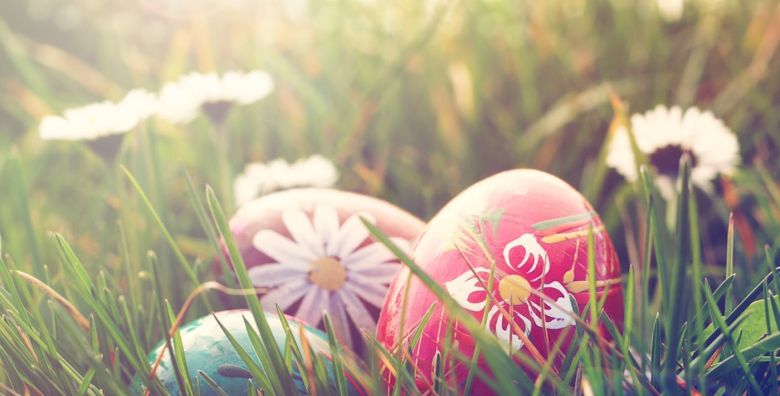 Oprema - Akcija, popust i sniženje. (ponuda: 258952)