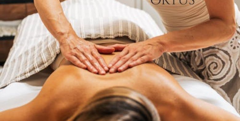 Hotel Rezidenca Ortus  Jesenski wellness paket s ukljucenom masazom Ankaran Slovenija  349 €