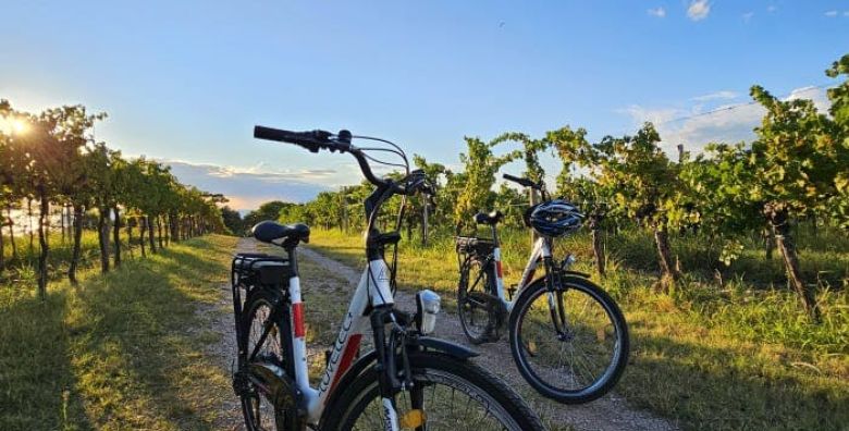 2 djece boravi gratis - Akcija, popust i sniženje. (ponuda: 259072)