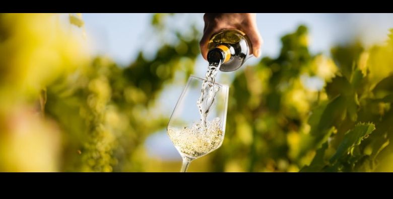 2 djece boravi gratis - Akcija, popust i sniženje. (ponuda: 259074)