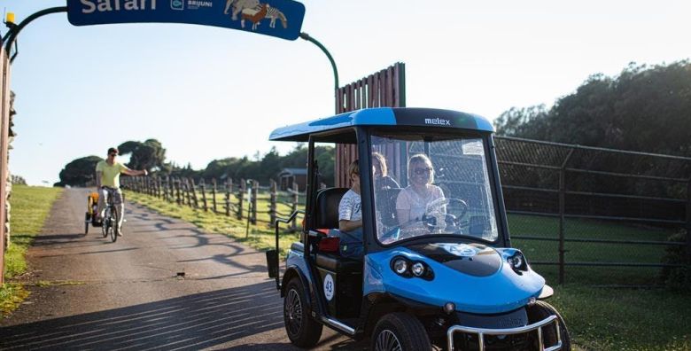 Hotel Istra  Aktivni proljetni paket dozivljaja na Brijunima Fazana Istra Hrvatska  280 EUR  2x nocenje u dvokrevetnoj hotelskoj sobi park strana za 2 osobe Polupansion