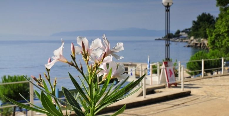 Hotel Park  First minute proljece i jesen u Lovranu Lovran Hrvatska  222 €