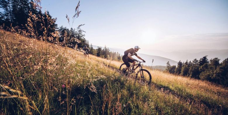 Wellness  Spa Apartmaji Bolfenk  Ljeto na Pohorju tijekom tjedna Pohorje Slovenija  299 EUR  2x nocenje u Deluxe apartmanu za 4 osobe Neograniceno koristenje WellNest unutarnjega bazena od 12 do 20 sati