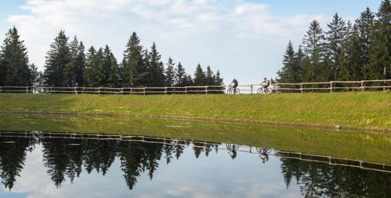 Forest Hotel Videc  Ljetni wellness vikend odmor na Pohorju Pohorje Slovenija  249 EUR  2x nocenje u dvokrevetnoj sobi s pomocnim lezajem i prostranim balkonom za 2 osobe 1 dijete do 6 godina besplatno  Polupansion