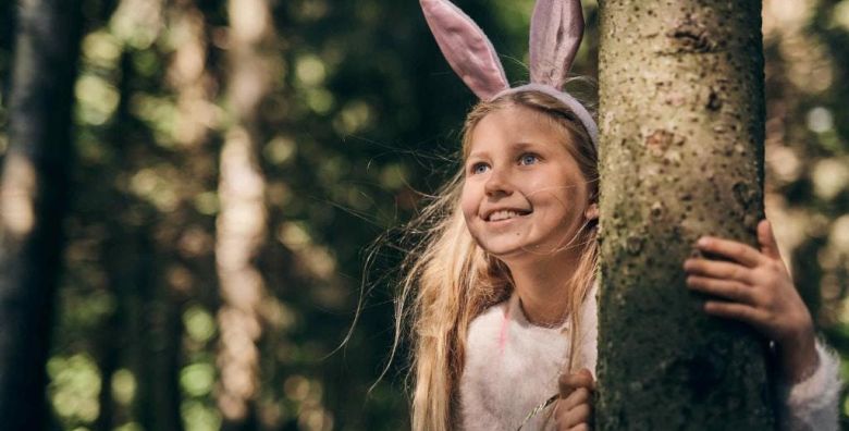 Forest Apartments Videc  Uskrs ili 1 svibanj na Pohorju za 6 osoba Pohorje Slovenija  269 EUR  2x nocenje u jednosobnom apartmanu s balkonom ili terasom za 6 osoba Neograniceno koristenje WellNest unutarnjega bazena od 12 do 20 sati