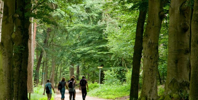 Forest Apartments Videc  Ljetni wellness odmor na Pohorju tijekom tjedna za 10 osoba Pohorje Slovenija  379 EUR  2x nocenje u dvosobnom apartmanu s balkonom za 10 osoba Neograniceno koristenje WellNest unutarnjega bazena od 12 do 20 sati