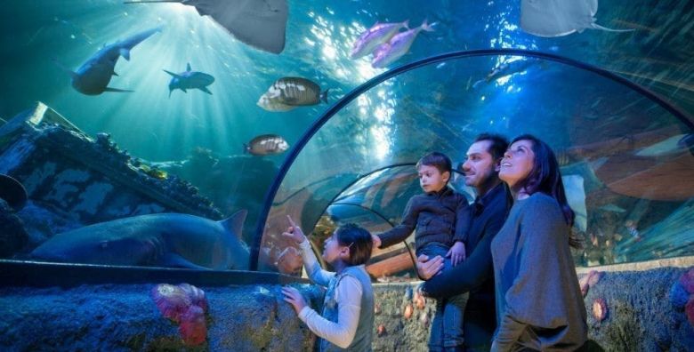Gardaland Park  Sea life Aquarium  Castelnuovo del Garda Italija  9 €