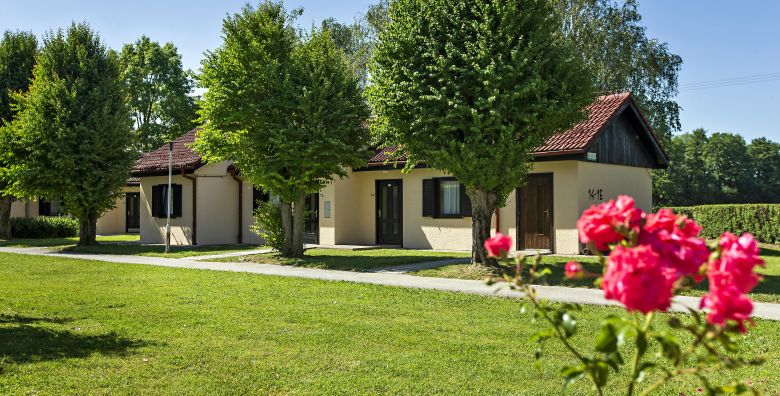 Terme Ptuj  Bungalovi  Odmor tijekom tjedna udvoje Ptuj Slovenija  224 €