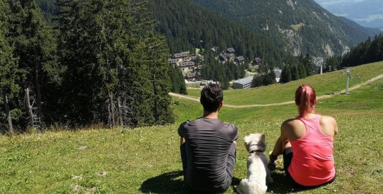 Wellness hotel Montis  Adrenalinska avantura s dozom wellnessa za dvoje na Goltama Mozirje Slovenija  319 €