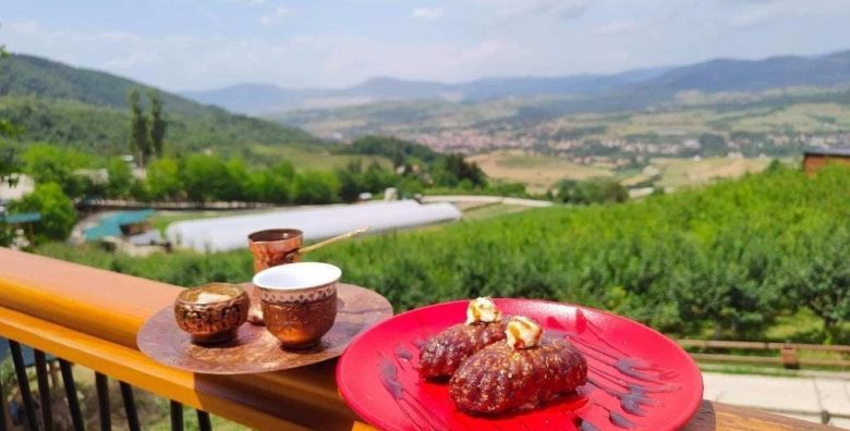 Malak Farma  Dream House  Opustajuci odmor Kakanj Bosna i Hercegovina  97 €