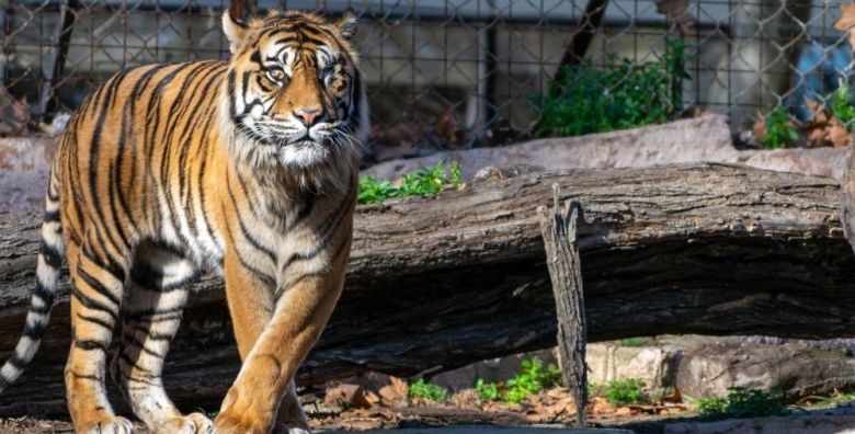 Zavrsetak skole u Barceloni  Zoo Barcelona Barcelona Spanjolska  1 399 EUR  3x nocenje u apartmanu ili hotelu za 2 odrasle osobe i 1 djete do 11 99 godina 3x povratna avionska karta Ljubljana  Barcelona  Ljubljana