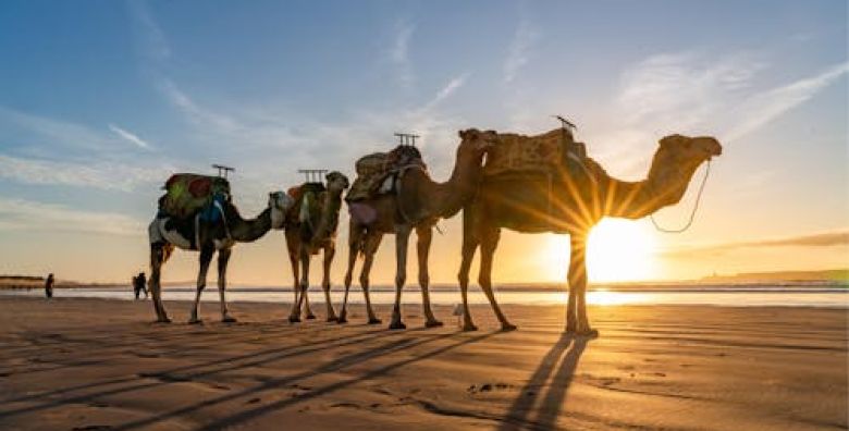 Odmor u Maroku Agadir Maroko  1599 €