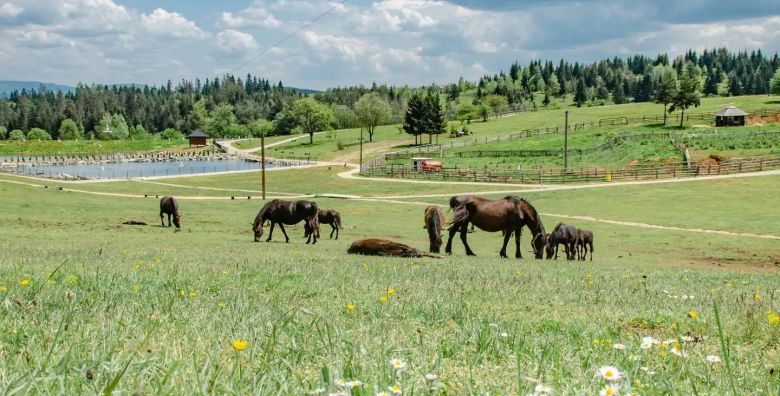 Turisticko naselje Ajdinovici SRCA  Hotel Central i Lux apartmani  Svibanjski vikend odmor za dvoje Olovo Bosna i Hercegovina  342 EUR  2x nocenje u hotelu Central u dvokrevetnoj sobi ili u Lux apartmanu za 2 osobe All inclusive