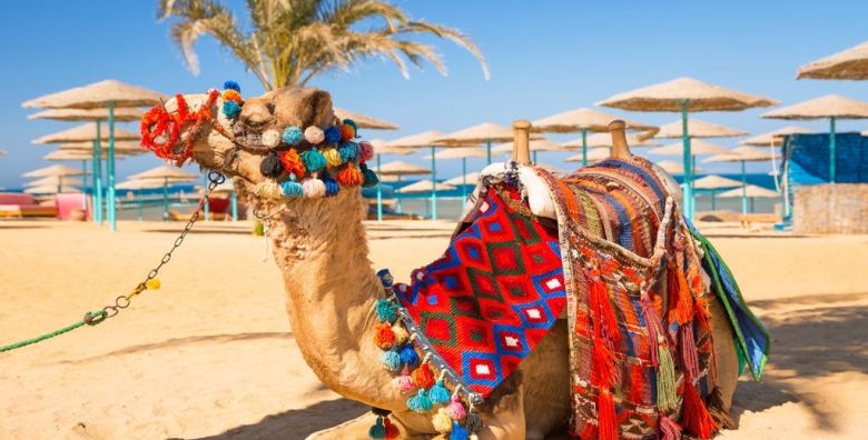 All inclusive ljetni odmor u Hurgadi Hurgada Egipat  2 099 EUR  7x nocenje u hotelu 4 za 2 odrasle osobe All inclusive