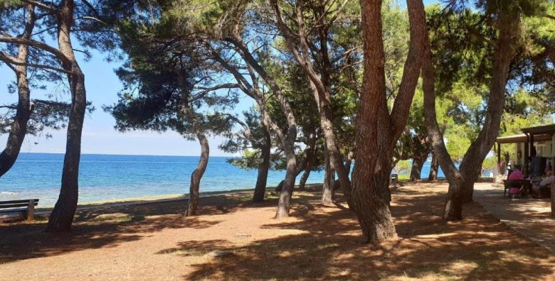 Youth Hostel Pinesta  Last minute ljeto u Novigradu Novigrad Istra Hrvatska  147 €