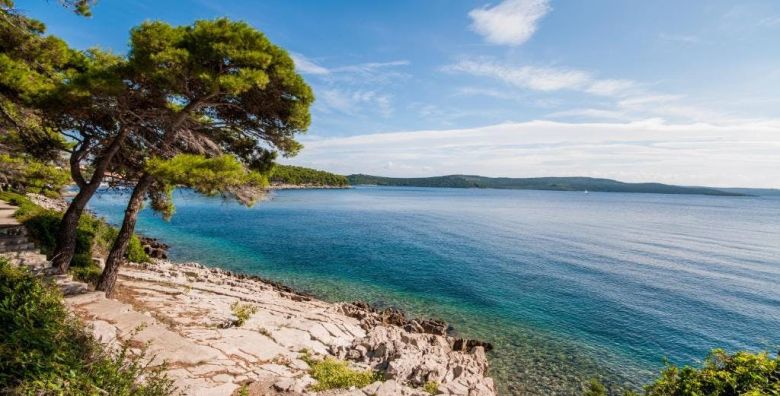 Hotel Lavanda  Ljetni odmor na Dugom otoku Bozava Dalmacija Hrvatska  1351 €