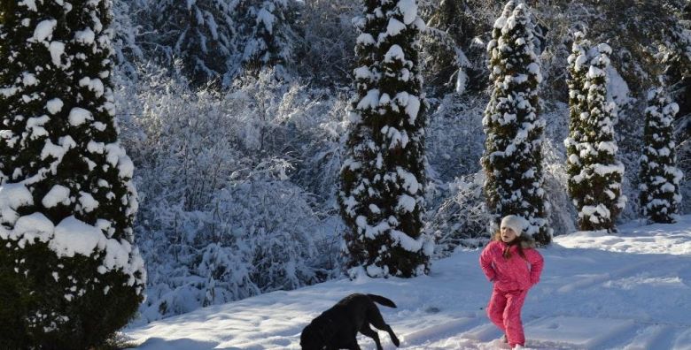 Landidyll Hotel Nudelbacher  Zimski odmor u Kärntenu Feldkirchen in Kärnten Austrija  389 EUR  3x nocenje u dvokrevetnoj sobi s balkonom za 2 osobe Polupansion