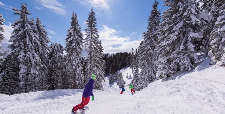 Wellness hotel Montis  First minute skijanje  wellness na Goltama Mozirje Slovenija  378 €