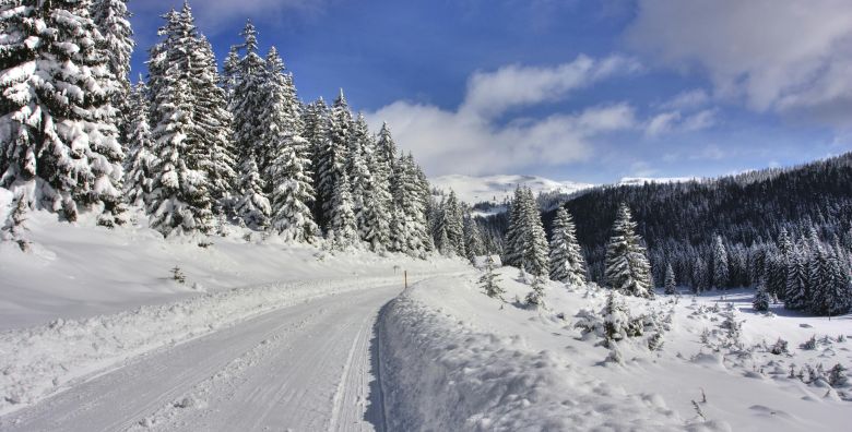 4 Seasons Vlasic Lux Apartmani  Zimski odmor na Vlasicu Babanovac Bosna i Hercegovina  238 EUR  3x nocenje u apartmanu za 4 odrasle osobe ili 2 odrasle osobe i 3 djece Turisticka pristojba