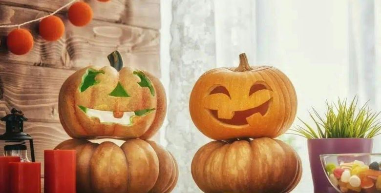 Amadria Park Kids Hotel Andrija  Halloween party i Aquapark dozivljaj Sibenik Hrvatska  613 EUR  2x nocenje u obiteljskoj sobi pogled dvoriste park s balkonom za 2 osobe 1 dijete do 11 99 godina besplatno  Polupansion