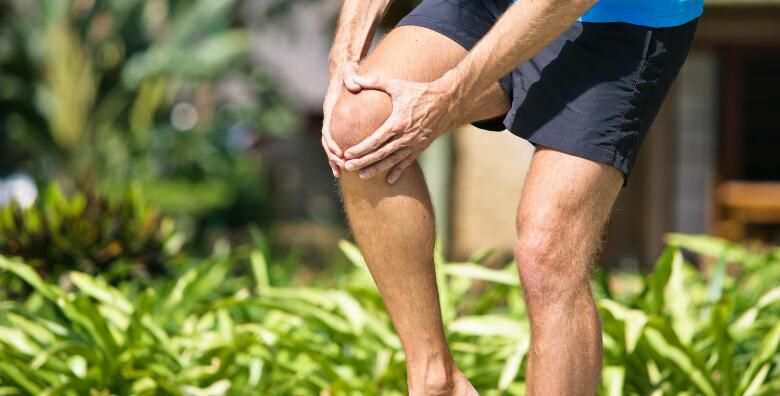 Zdravlje (ponuda: 255635)