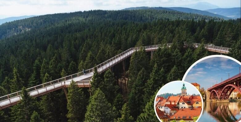 SETNJA MEDjU KROSNJAMA  dozivite prirodu Pohorja koja oduzima dah i upoznajte ljepote Maribora uz cjelodnevni izlet s prijevozom za jednu osobu