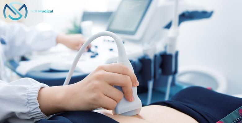 Zdravlje (ponuda: 256355)