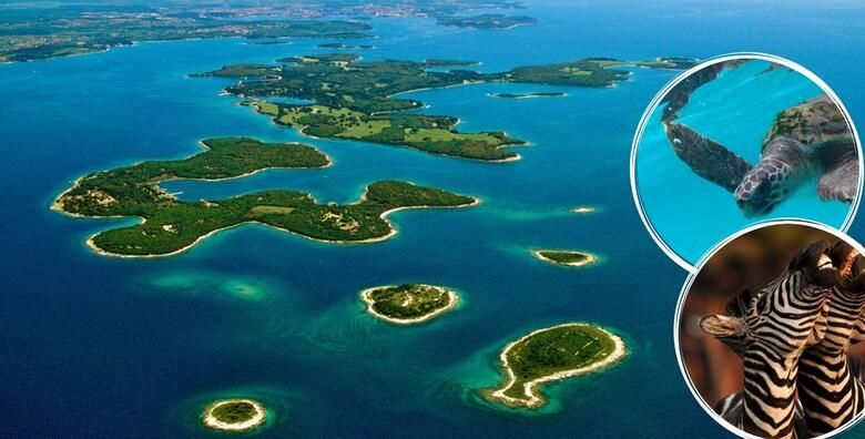 Pula i NP Brijuni  upoznajte Pulu grad sa bogatom povijescu na svakom koraku te dopustite netaknutoj prirodi NP Brijuni da Vas ocara