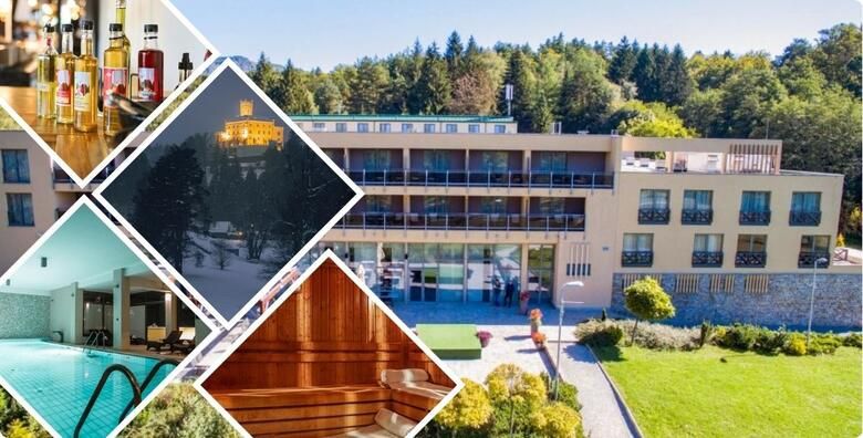 Zima u Hotelu Trakoscan 4  1 ili 2 nocenja s polupansionom za 2 osobe ili 2 odraslih i 2 djece do 11 99 godina uz koristenje bazena unutarnje i vanjske finske saune