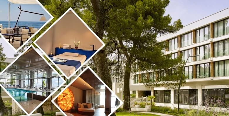 Wellness odmori - Akcija, popust i sniženje. (ponuda: 258060)