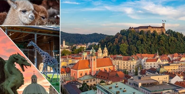 LJUBLJANA I ZOO  posjetite Ljubljanski ZOO sa preko 40 razlicitih zivotinja te razgledajte znamenitosti Ljubljane