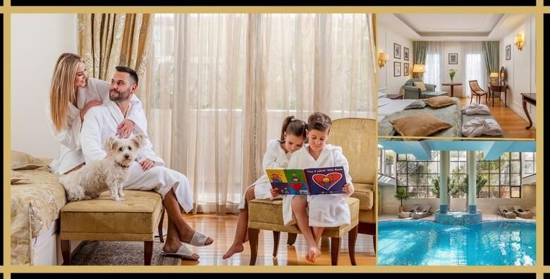 Wellness odmori - Akcija, popust i sniženje. (ponuda: 259423)