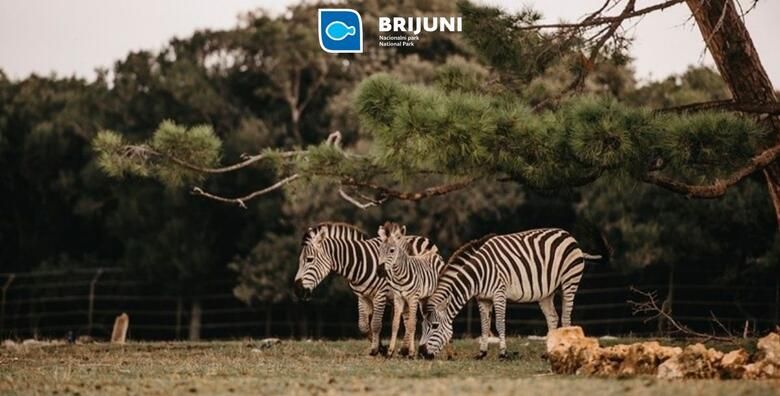 BIJEG NA BRIJUNE Hotel Istra 3  otkrijte svijet flore i faune uz 2 noci s polupansionom za 2 osobe  gratis paket za 1 dijete do 3 99 godina i ulaznice za NP