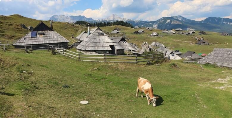 Putovanja (ponuda: 265629)