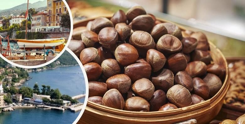 Putovanja - Akcija, popust i sniženje. (ponuda: 270972)
