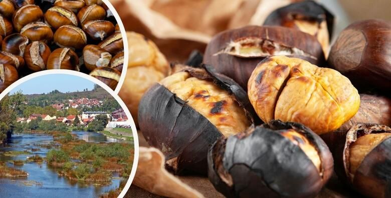 Kestenijada u Hrvatskoj Kostajnici  posjetite grad kestena i postanite dio nezaobilaznog dogadjaja za sve ljubitelje prirode i ukusnih delicija
