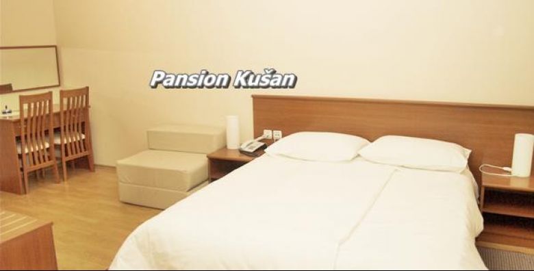 Pansion Kusan