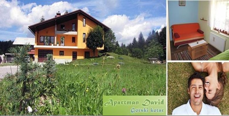 Apartmani David