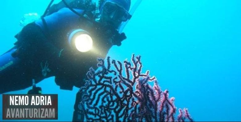 Nemo Adria d o o 