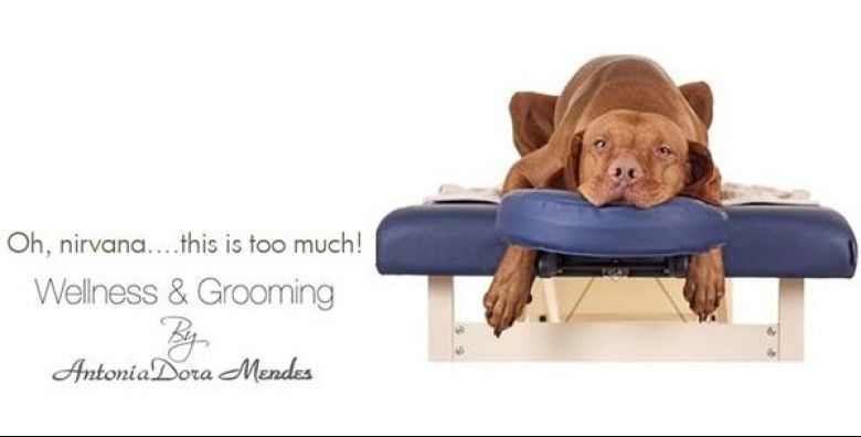 Salon za pse Wellness  Grooming